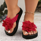 SANDRINE | SANDALIAS CONFORT ELEGANTES